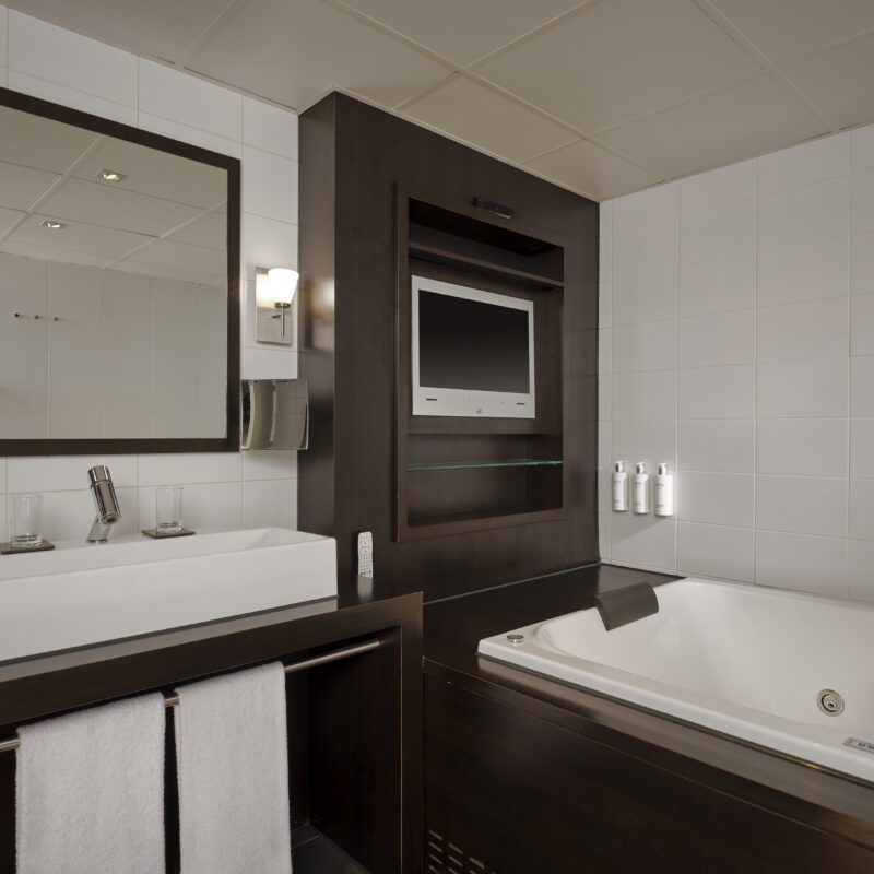 Park Plaza Eindhoven deluxe suite jaccuzzi and amenities